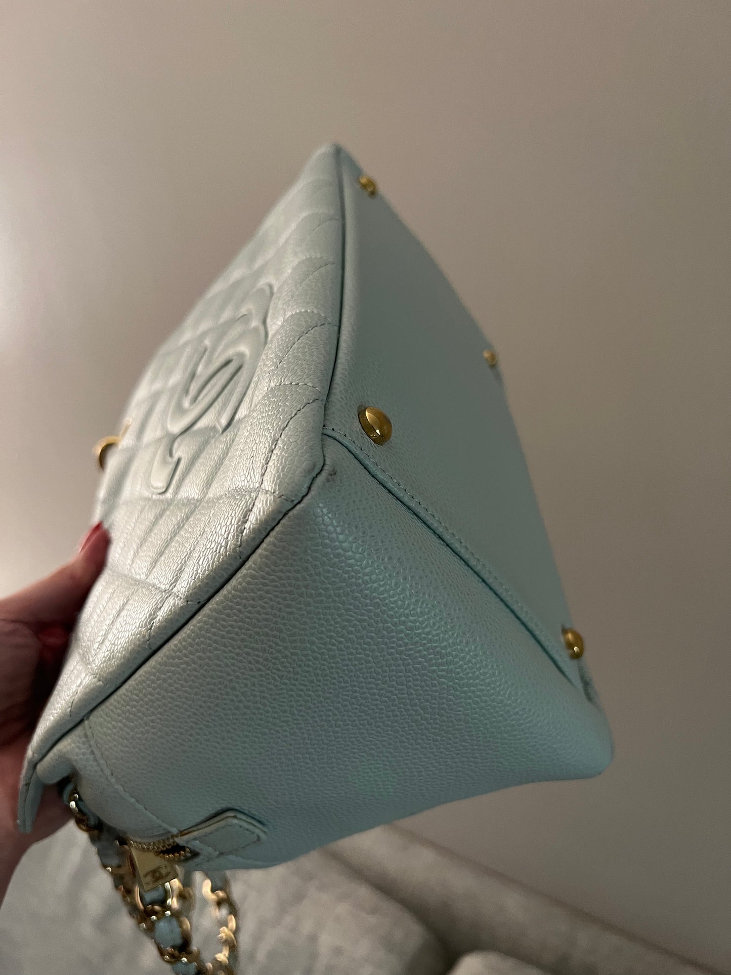 Vintage Light Blue Petite Shopping Tote