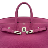 Birkin 25 - Magnolia Togo