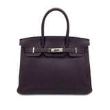 Birkin 30 Raisin