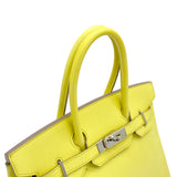 Birkin 30 - Lime Epsom