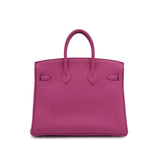 Birkin 25 - Magnolia Togo
