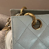 Vintage Light Blue Petite Shopping Tote